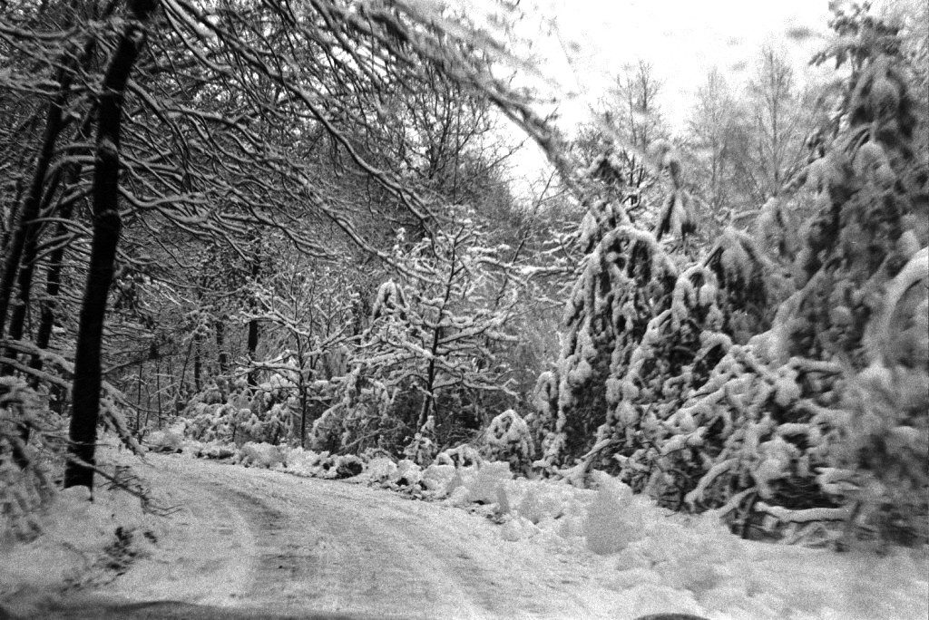 Snow-covered Grunewald road.